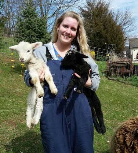 Background for Wyoming Veterinary Services PLLC