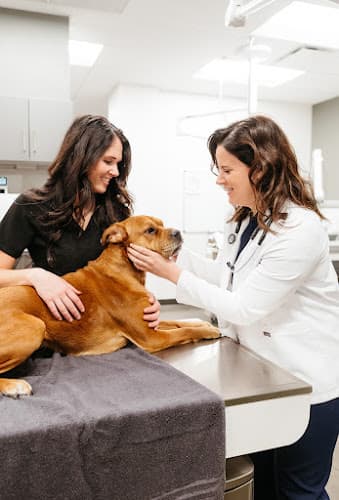 GoodVets Germantown
