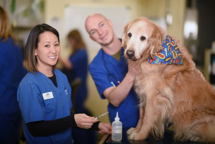 Background for Veterinary Cancer Group SFV, A Thrive Pet Healthcare Partner