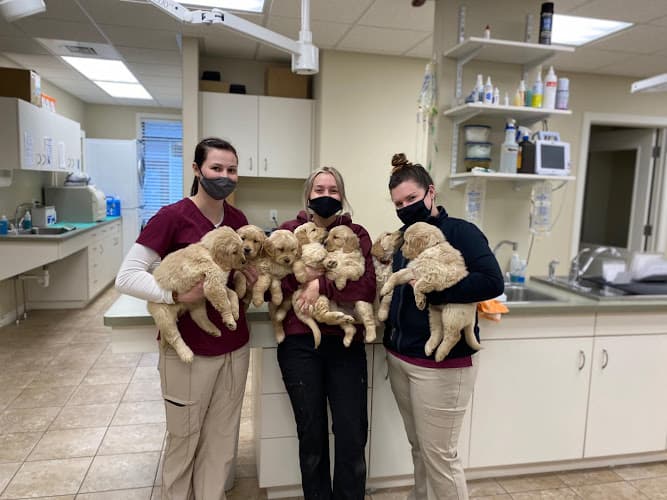 Ammon Veterinary Hospital