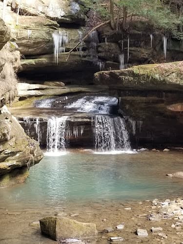 Background for Five Points Animal Hospital