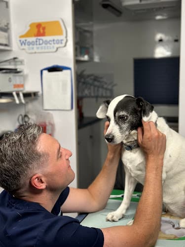 Background for WoofDoctor On Wheels