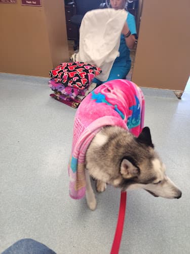 Clarksburg Veterinary Hospital
