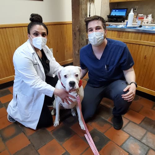 Background for Concord Pike Veterinary Hospital