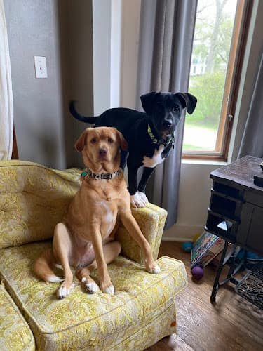 Background for Marshall County Veterinary Clinic