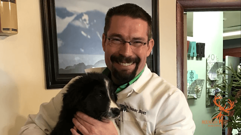 Mountain West Animal Hospital
