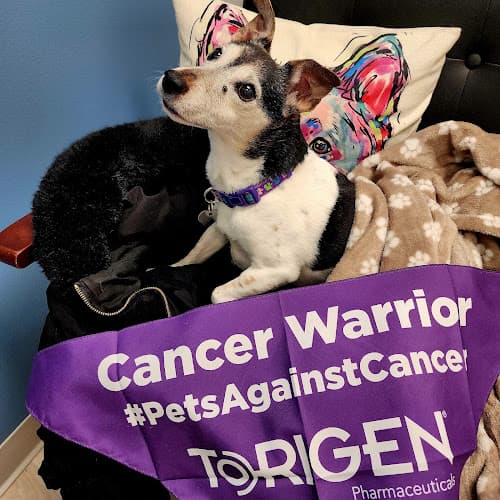 Background for New Hope Veterinary Wellness Center