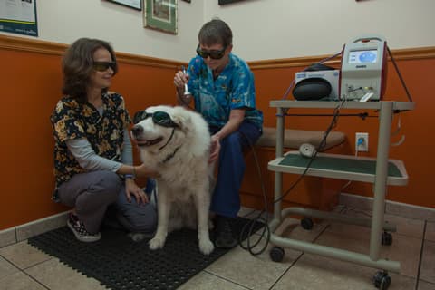 Archie Kleopfer Veterinary Care Clinic