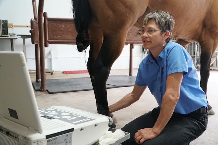 Tacoma Equine Hospital