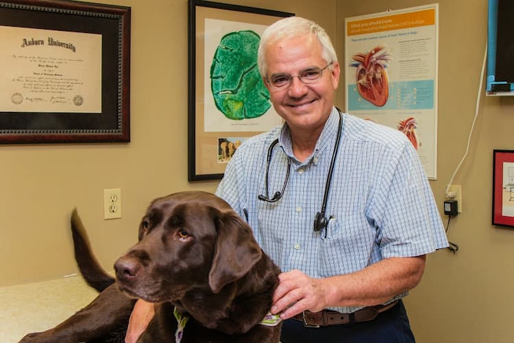 Background for Lee's Veterinary Hospital