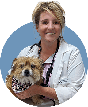 Background for Providence Veterinary Hospital