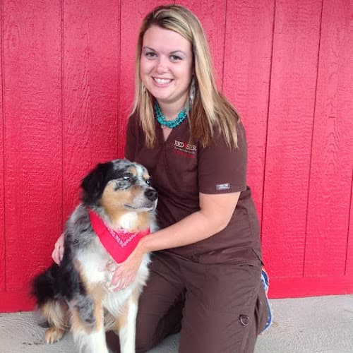 Background for Red Star Veterinary Clinic