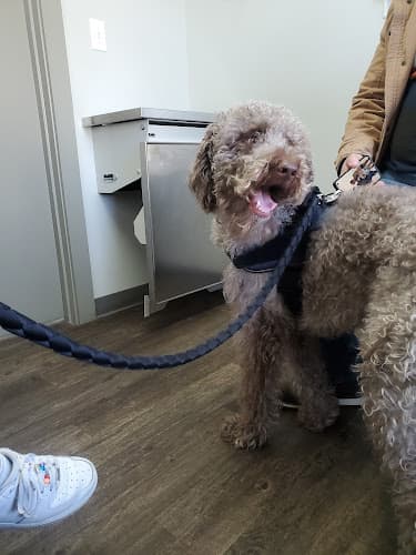 Background for Elk Creek Animal Hospital of Bullitt County