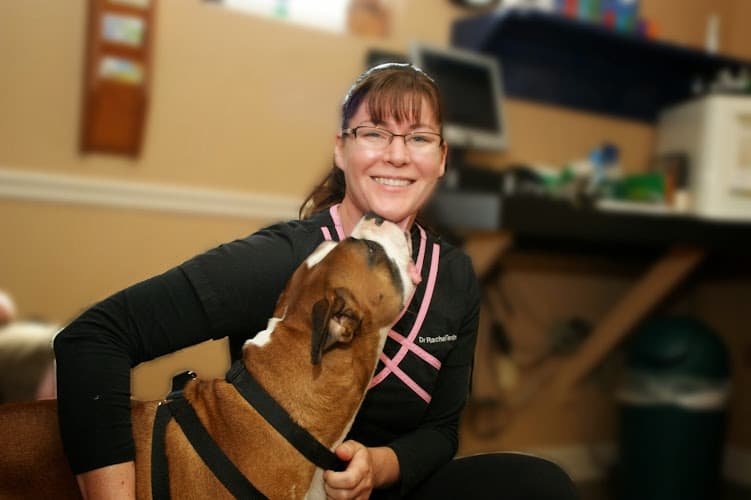 Background for Lewis Veterinary Clinic