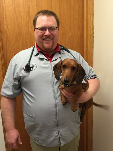 Background for Belpar Pet Care Centre