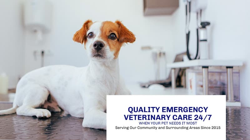 Background for Emergency Pet Care of Texas