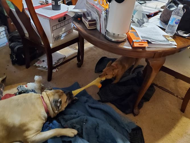 Background for VCA Beavercreek Animal Hospital