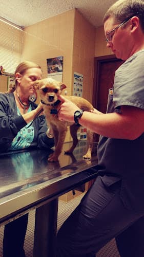 Jackson Animal Clinic
