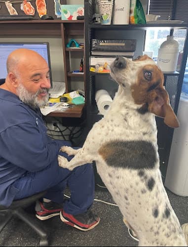 Background for BluePearl Pet Hospital Fort Lauderdale