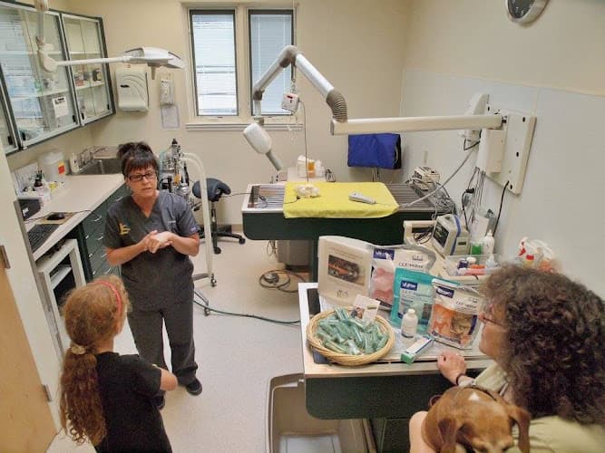 Absecon Veterinary Hospital