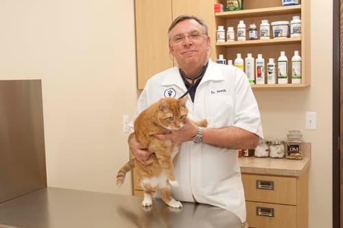 Background for Macomb Center Veterinary Hospital