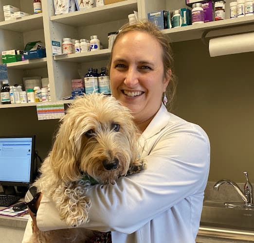 Background for Shiloh Animal Hospital