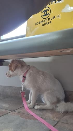 Johnson County Animal Clinic