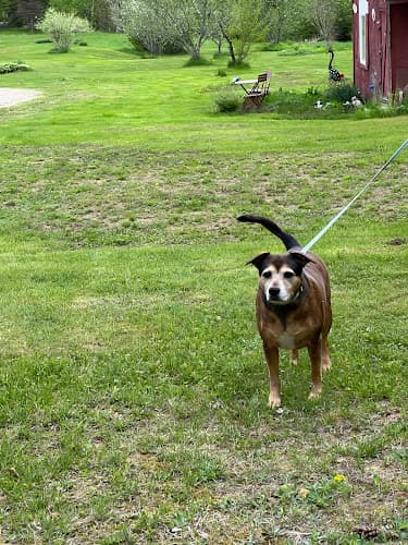 Meadow Pond Animal Hospital
