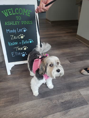 Ashley Pines Animal Hospital