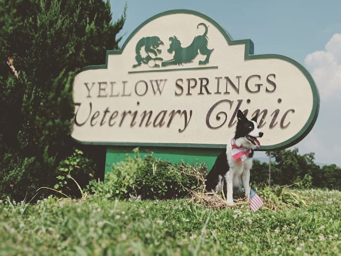 Background for Yellow Springs Veterinary Clinic