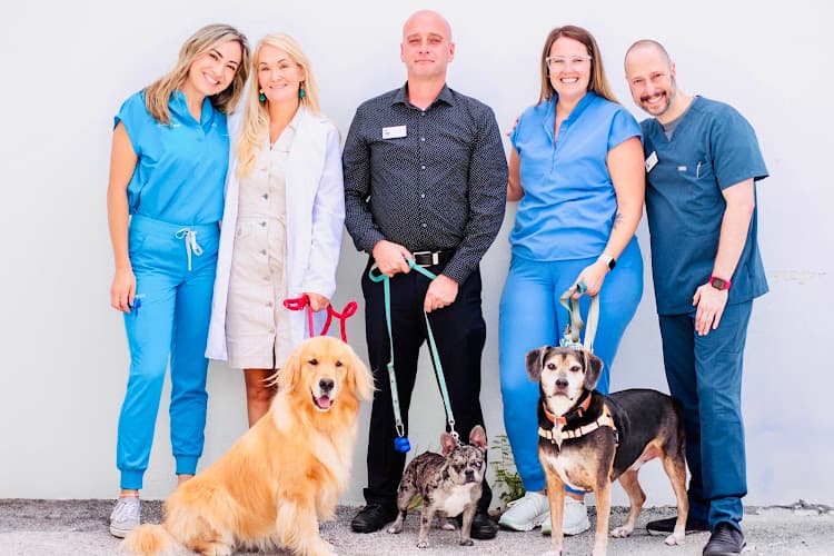 Bayview Animal Hospital