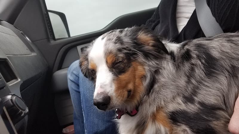 Choctaw Family Pet Care