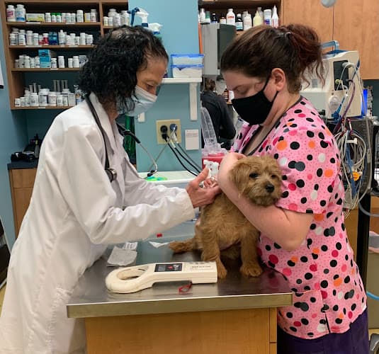 Affordable Pet Hospital