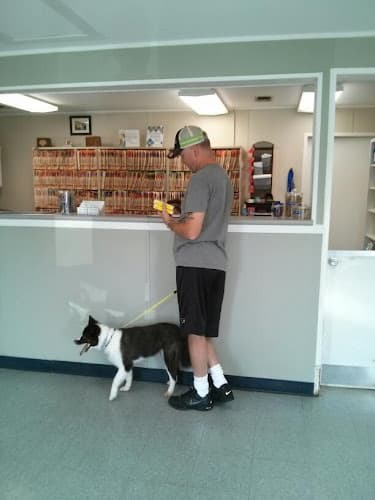 Background for Harris Boulevard Veterinary Clinic