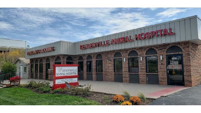 Bensenville Animal Hospital