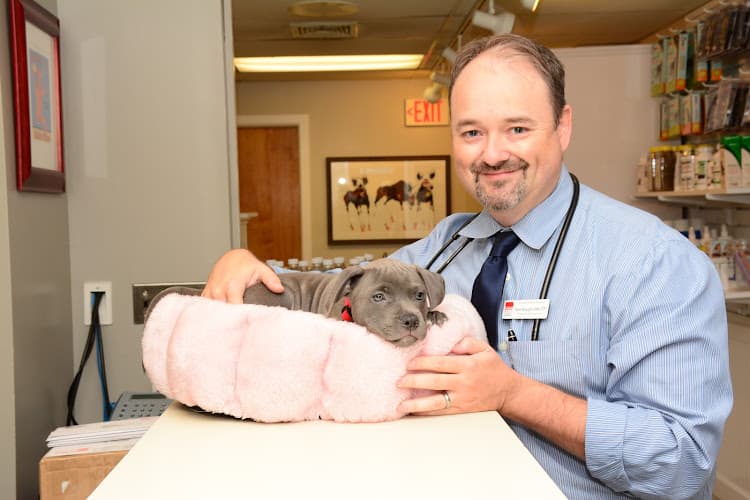 Norwalk Animal Hospital