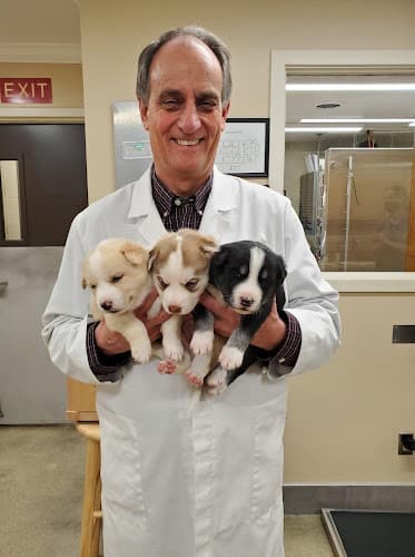 Northgate Animal Hospital