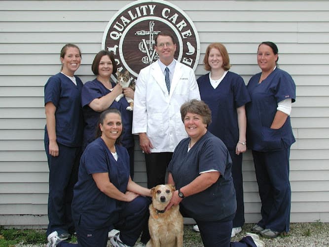 Background for County Line Veterinary Service