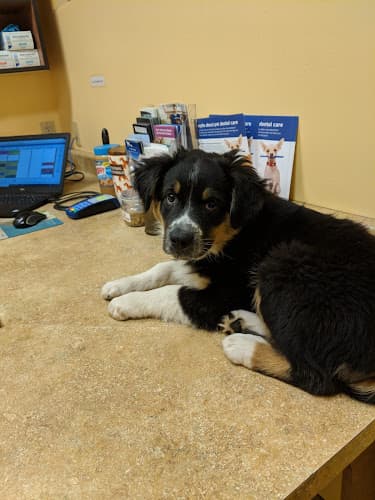 Background for North Kenilworth Veterinary Care