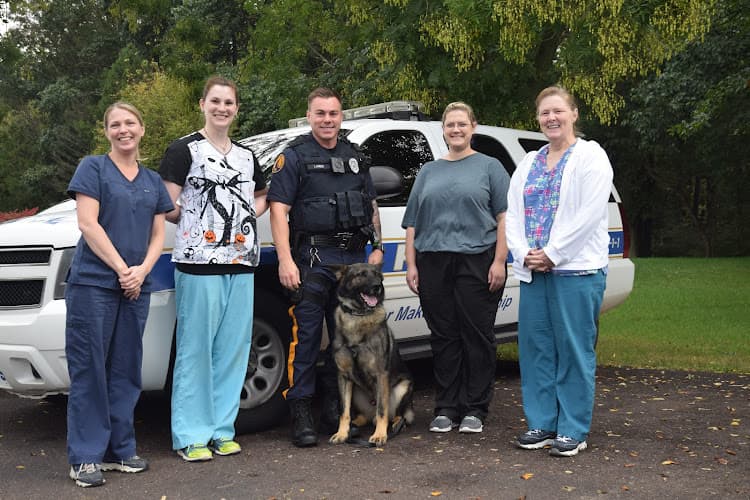 Background for Buckingham Valley Veterinary Center