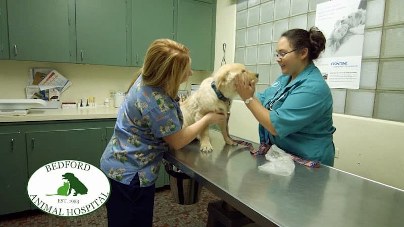 Bedford Animal Hospital