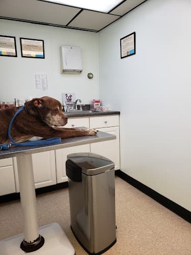 Airway Animal Clinic