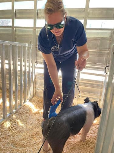 Green Valley Veterinary Service