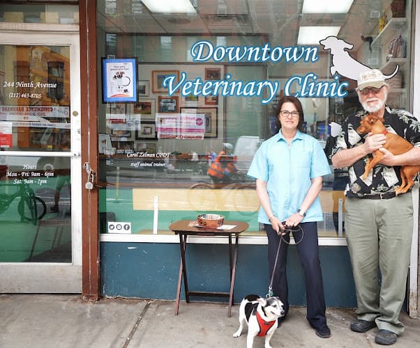 Background for Downtown Veterinary Clinic