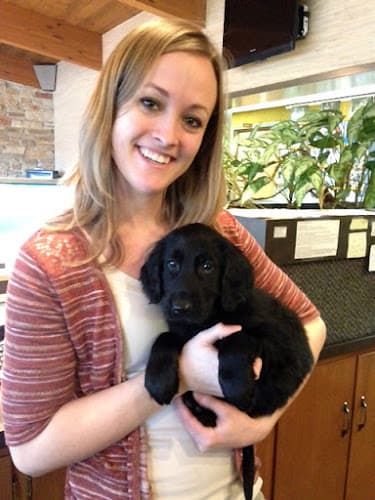 Background for Spring Harbor Animal Hospital