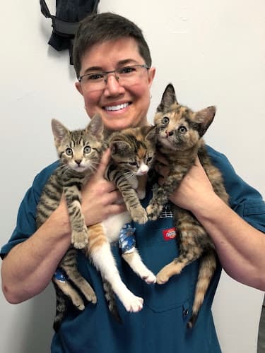 Background for The Neighborhood Vet