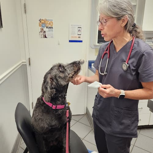 East Brainerd Animal Hospital