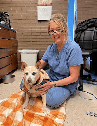 Westwood Veterinary Hospital