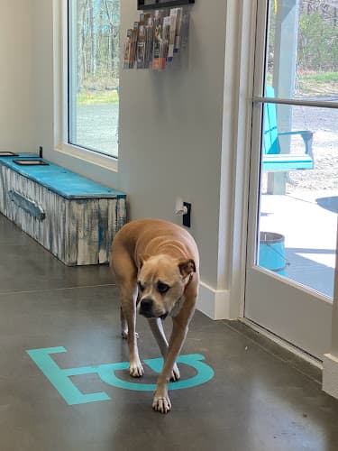 Background for TopGun Veterinarian Service LLC