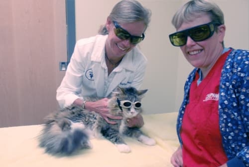VCA Daniel Webster Animal Hospital